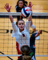 Drivenation 14 Red Volleyfest 02/05/22